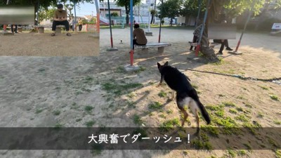 パパさんのもとへダッシュ！