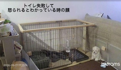 可愛くて怒れません♡