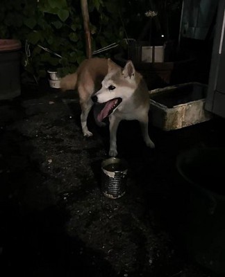 無事捕獲に成功!!