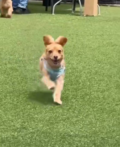 本当はこんなにあどけない♡