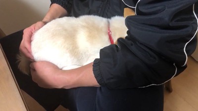 服を脱いだら甘えん坊モードに