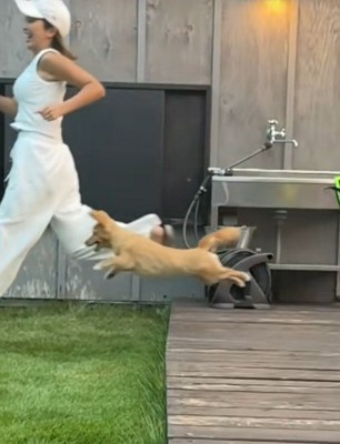 ギャップがすごすぎる！