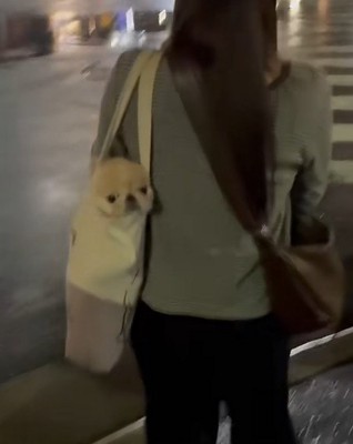 まんまるでかわいい