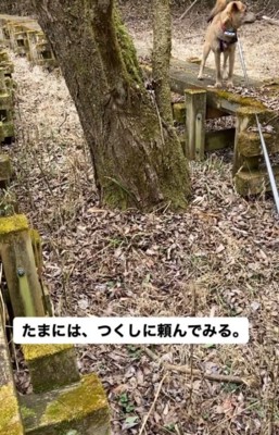 右の遊歩道を歩いていた垂れ耳の犬に合図を送る飼い主