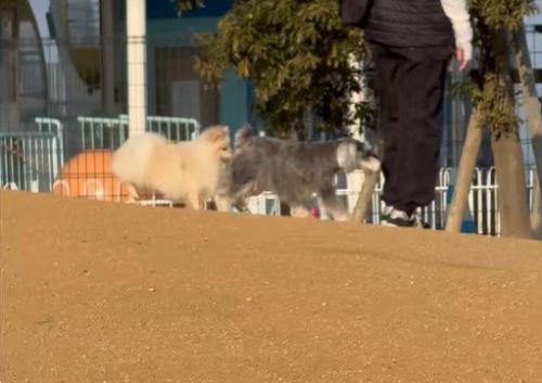 人にぶつかりそう…!