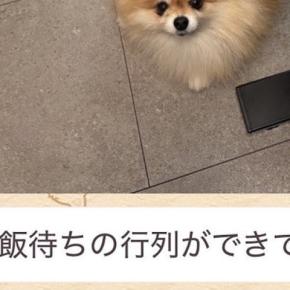 突然、妻からLINEで送られた『犬の写真』→確認してみたら…あまりにも愛おしい光景に反響「ポーズがww」「なんちゅう恰好してるのw」