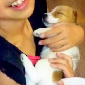 小学5年生の頃、親に『どうしても犬が飼いたい』とお願いして飼った犬…お迎え初日からお別れまでの『15年間の記録』に涙「幸せだった」「泣いた」