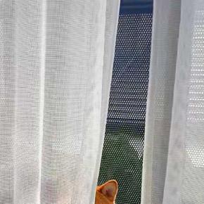 隣の部屋から『クゥーン』と聞こえたので見に行った結果→窓の外で、犬が…思わず抱きしめたくなる光景に反響「早く入っておいで」「おぼちゃま犬」