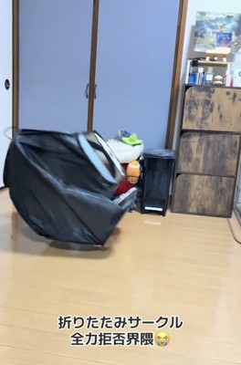 室内を転がるサークル
