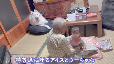 おじいちゃんと遊んでる…