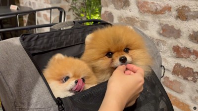 「まだですか?」