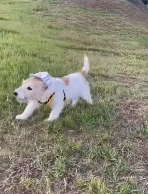 かけがえのない宝物