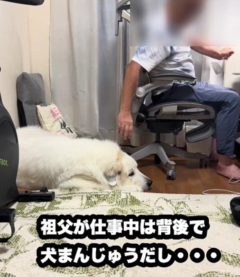 仕事中も一緒です