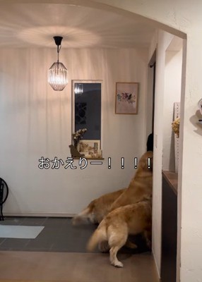 「お姉ちゃん帰ってきた!!」