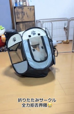 大きく傾いたサークル