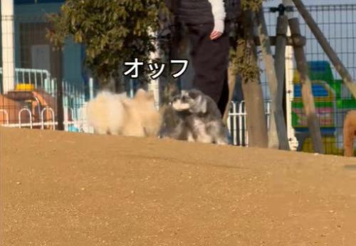 ちょっぴり気まずい…?