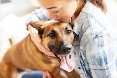マズルが黒い茶の犬