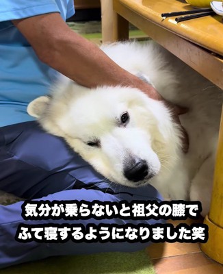 本当のおじいちゃんと孫みたい♡