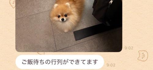 「ご飯待ちの行列が出来ている」