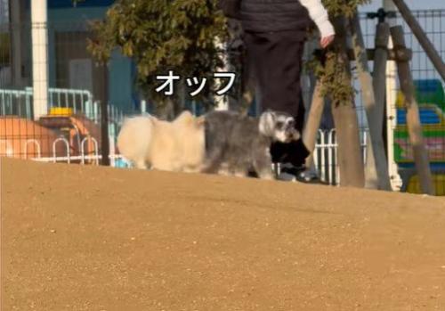 顔面がおしりに接触