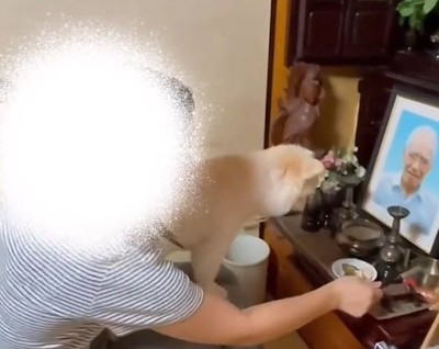 膝の上に乗るポポちゃん