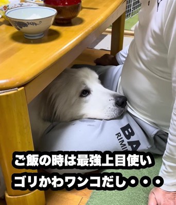 食事中も監視!