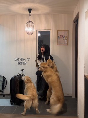 頭突きを繰り出してしまうほど♡
