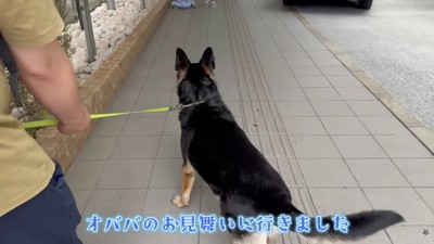 おばあちゃんを見た瞬間…