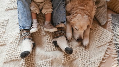 犬と赤ちゃんの足