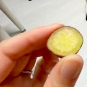『蒸した芋』を犬に食べさせようとした結果→勢いあまって…まさかの『人間のような姿勢』に6万いいね「可愛いｗｗ」「真剣な顔してて笑った」