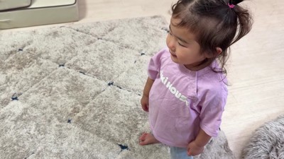 おもちゃを貸してほしい…