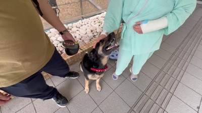 満面の笑みの維桜ちゃん