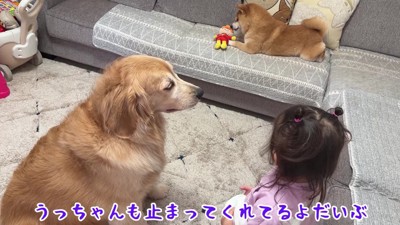 頼った相手はおからちゃん