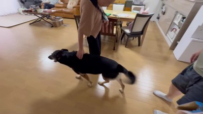 まさかの塩対応!!