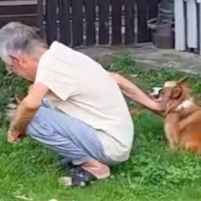 おともだちの『92歳のおじいちゃん』に会いに来た犬→気付いた瞬間に…微笑ましいやり取りに反響「大好きなんだね」「おじいちゃんも素敵」