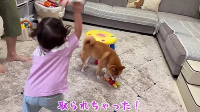 また取られちゃった！！