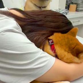 動物病院の待ち時間、睡魔に襲われた女性→犬も隣で眠たくなってしまい…平和すぎる空間に23万いいね「頑張ってて尊すぎ」「責任感あって偉い」