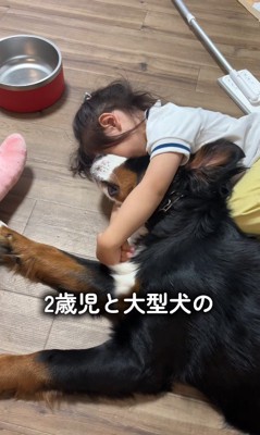 ベルちゃんをぎゅっ♡