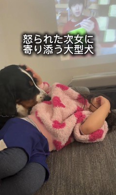 「大丈夫？元気出して」とペロペロ…