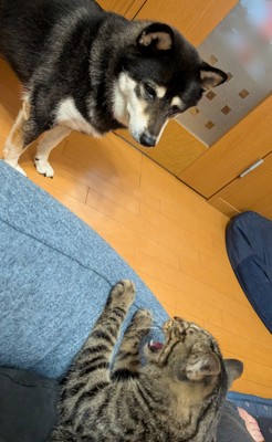 えっ