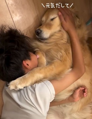 元気づけるきなこちゃん