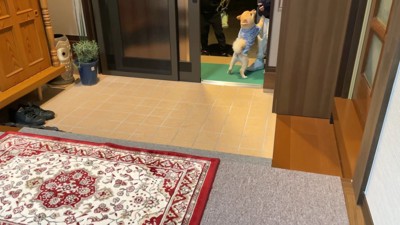 飛びついて熱烈歓迎!