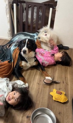 みんな仲良しで尊い！