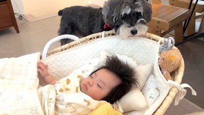 強引に奪わないところが優しい!