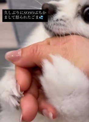 ぎゅっとしがみついて…