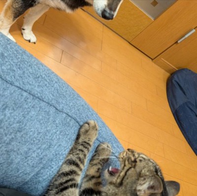 相手