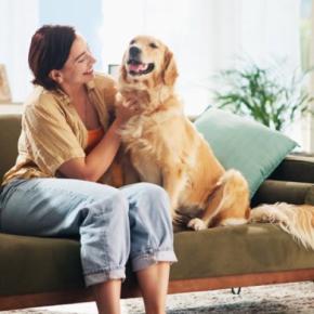 犬からの『愛情度』を測る方法6選 飼い主のことをどう思っている?愛犬から愛されやすい人の特徴まで