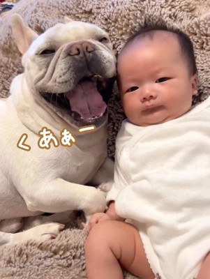 ポトフちゃんが大きなあくび