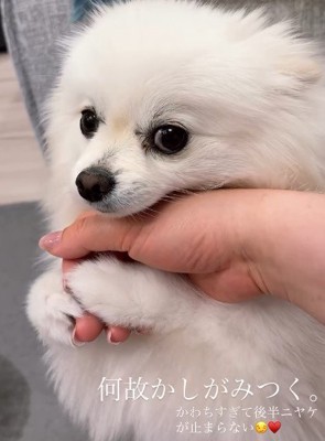 「これでおしまいね？」