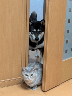 仲良し